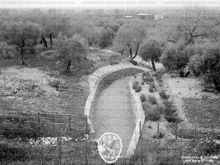 PONTINO/BOR001640.jpg