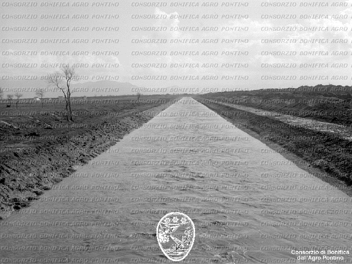PONTINO/BOR001641.jpg