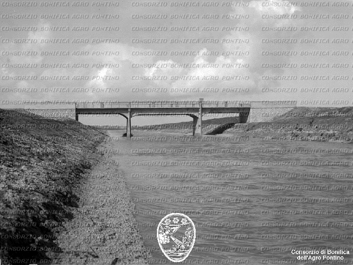 PONTINO/BOR001642.jpg