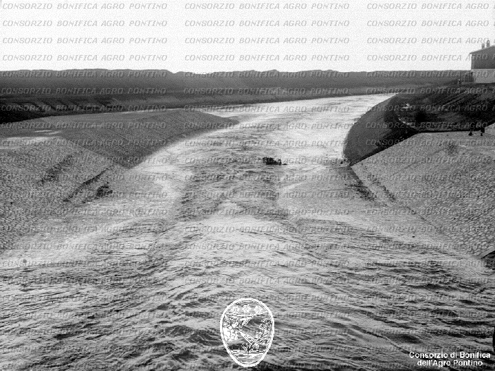 PONTINO/BOR001644.jpg