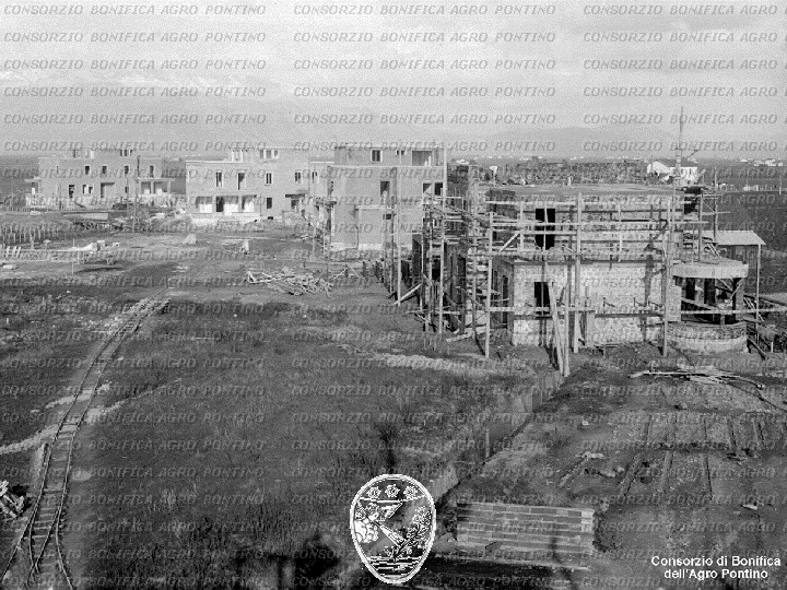 PONTINO/BOR001645.jpg