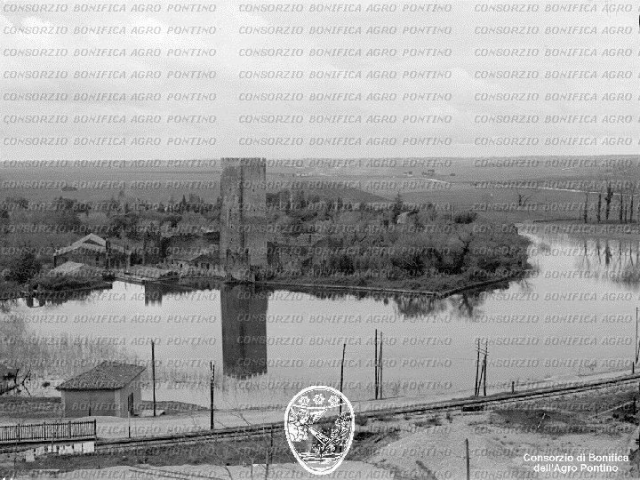 PONTINO/BOR001648.jpg