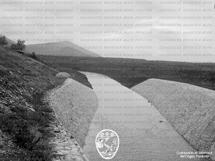 PONTINO/BOR001650.jpg