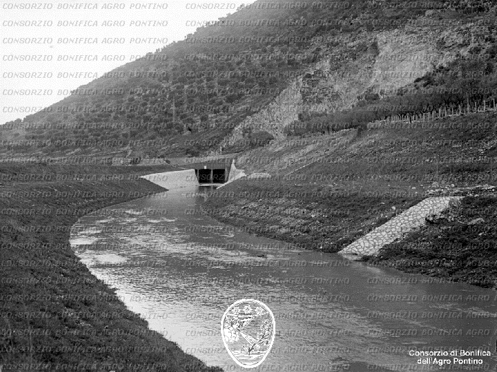 PONTINO/BOR001651.jpg