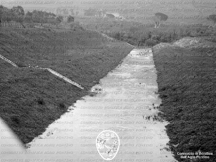 PONTINO/BOR001652.jpg