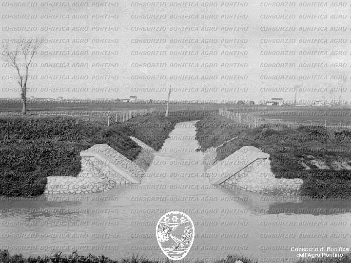 PONTINO/BOR001653.jpg