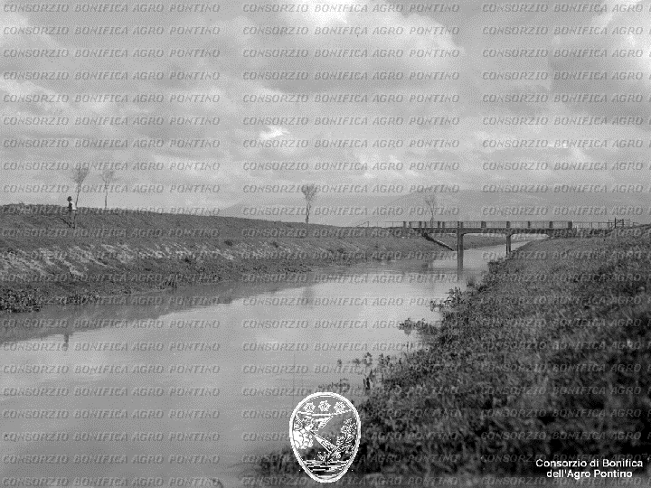 PONTINO/BOR001654.jpg