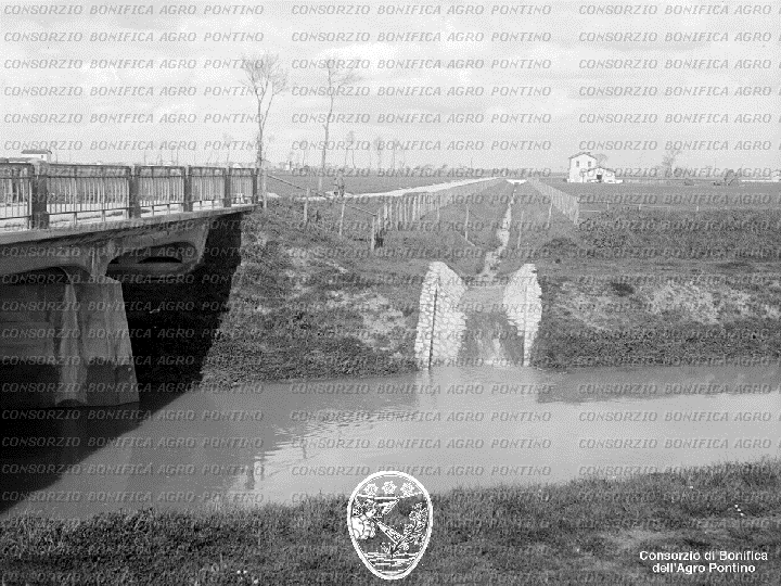 PONTINO/BOR001656.jpg