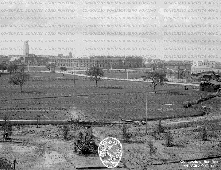 PONTINO/BOR001660.jpg