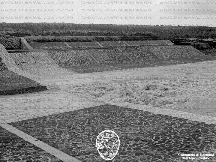 PONTINO/BOR001662.jpg