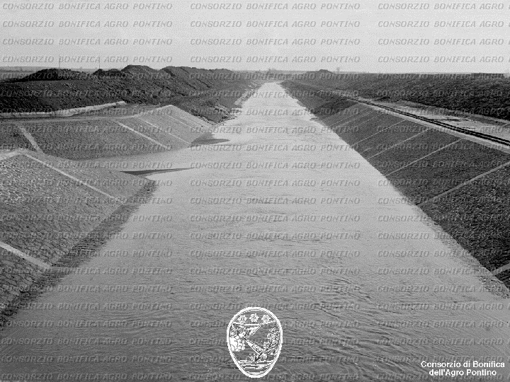 PONTINO/BOR001667.jpg