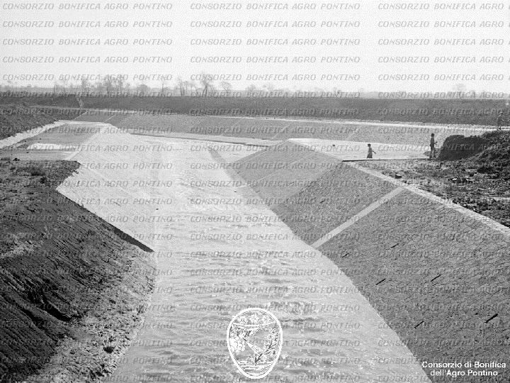 PONTINO/BOR001668.jpg