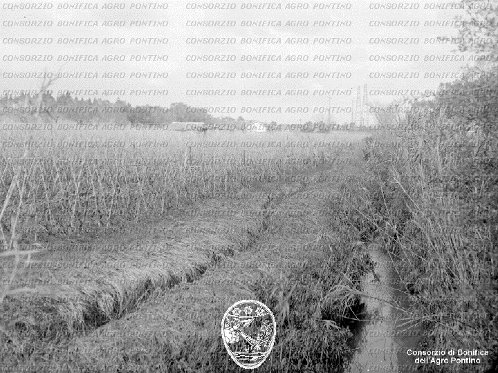 PONTINO/BOR001675.jpg