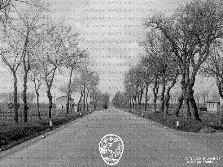 PONTINO/BOR001678.jpg