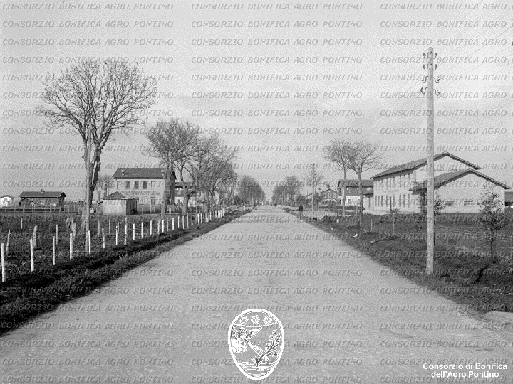PONTINO/BOR001683.jpg