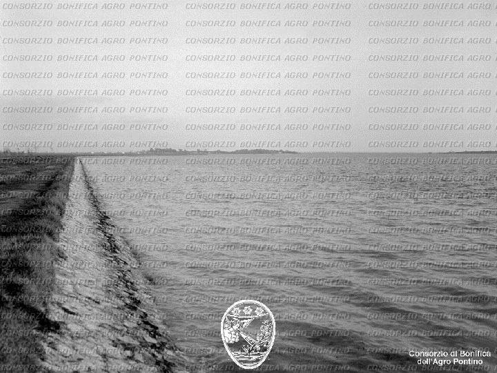 PONTINO/BOR001685.jpg