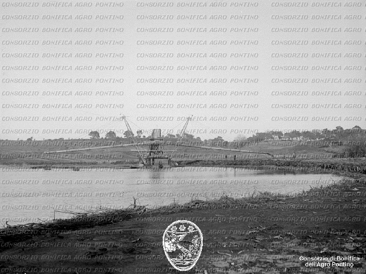 PONTINO/BOR001694.jpg