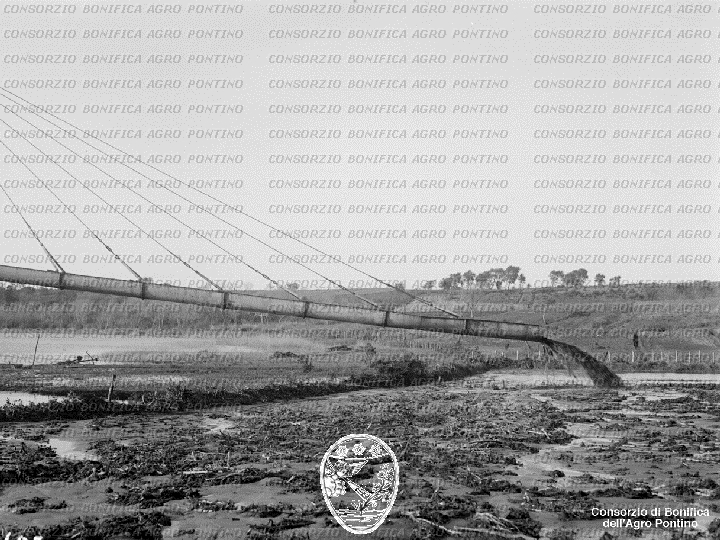 PONTINO/BOR001695.jpg