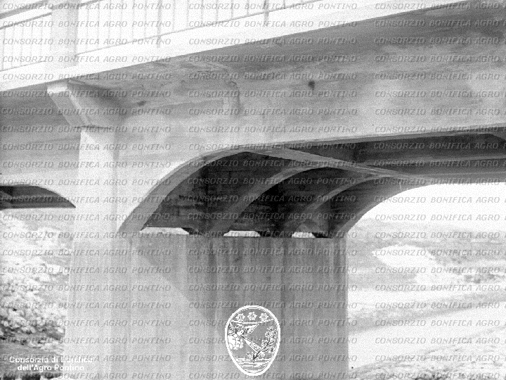 PONTINO/BOR001698.jpg