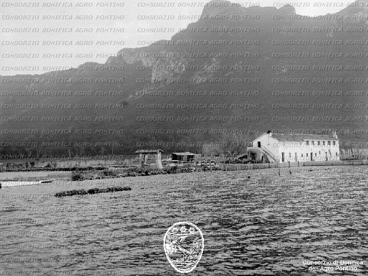 PONTINO/BOR001703.jpg