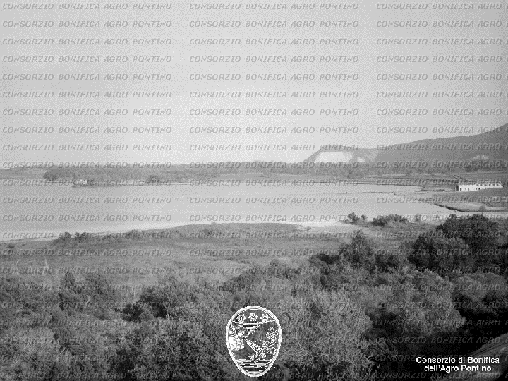 PONTINO/BOR001713.jpg
