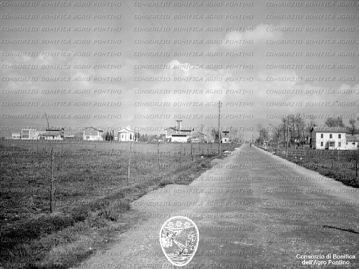PONTINO/BOR001714.jpg