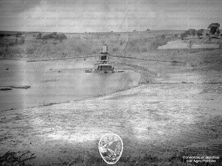 PONTINO/BOR001718.jpg