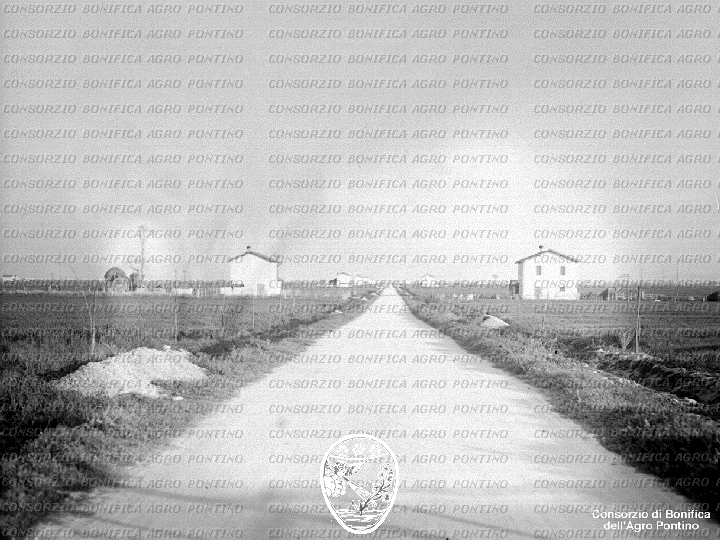 PONTINO/BOR001723.jpg