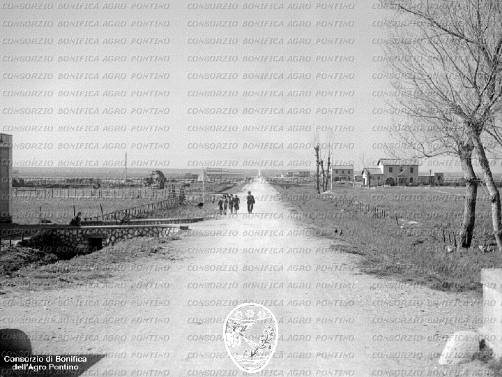 PONTINO/BOR001724.jpg