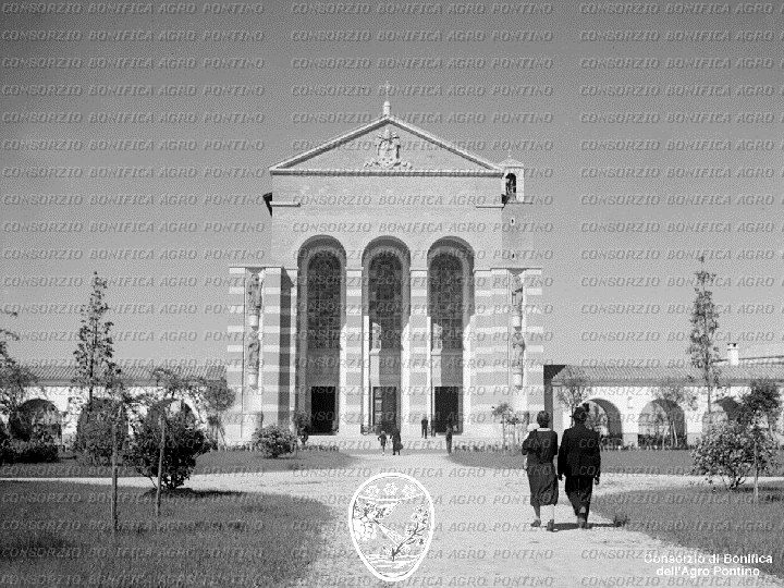 PONTINO/BOR001725.jpg