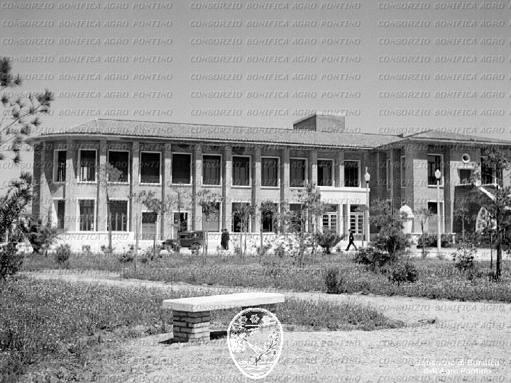 PONTINO/BOR001733.jpg