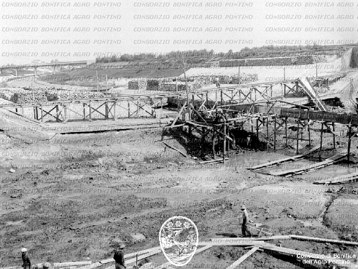 PONTINO/BOR001734.jpg