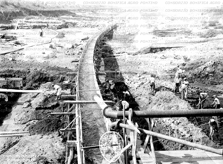 PONTINO/BOR001738.jpg