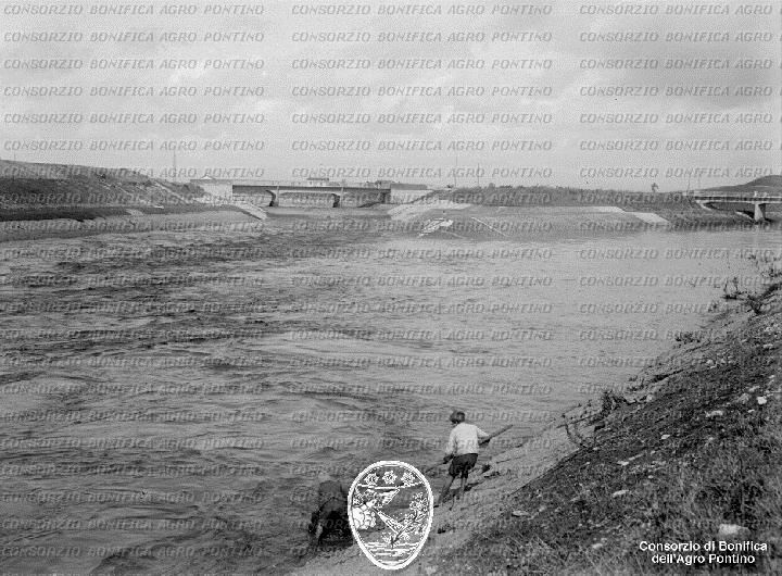 PONTINO/BOR001747.jpg
