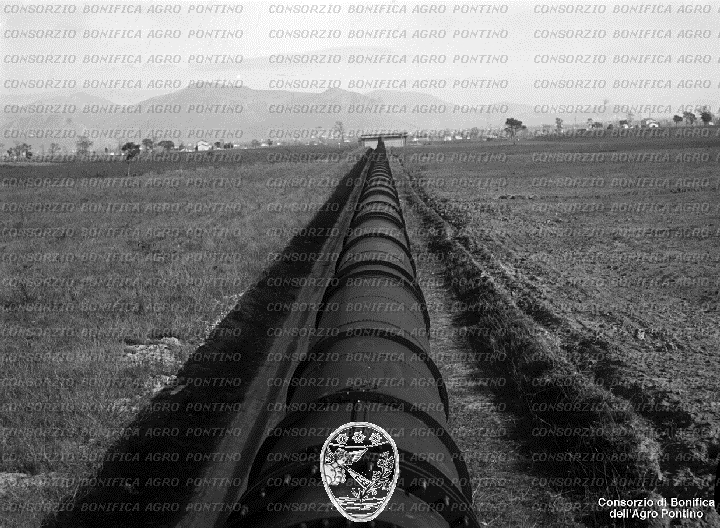 PONTINO/BOR001771.jpg