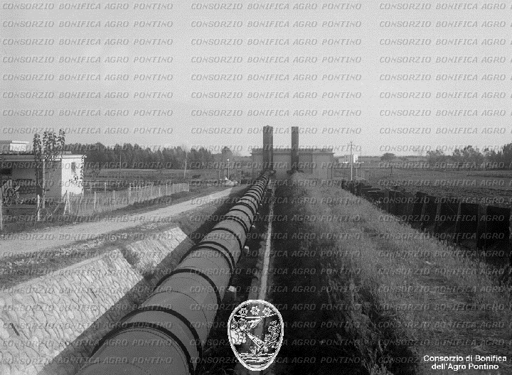 PONTINO/BOR001777.jpg