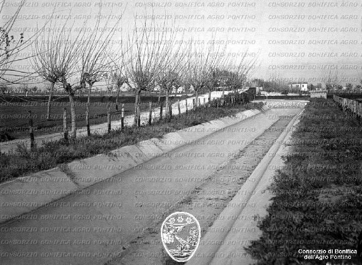 PONTINO/BOR001778.jpg