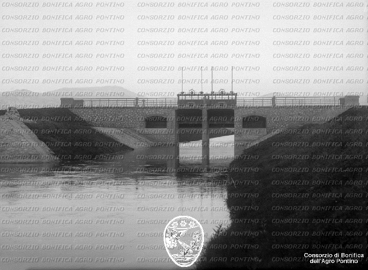 PONTINO/BOR001780.jpg