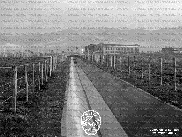 PONTINO/BOR001784.jpg