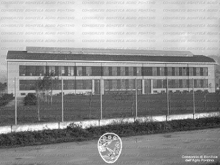 PONTINO/BOR001786.jpg