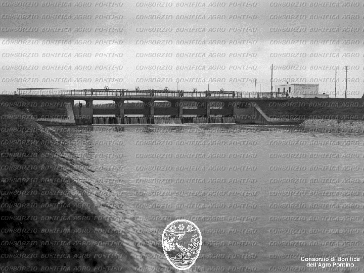 PONTINO/BOR001788.jpg