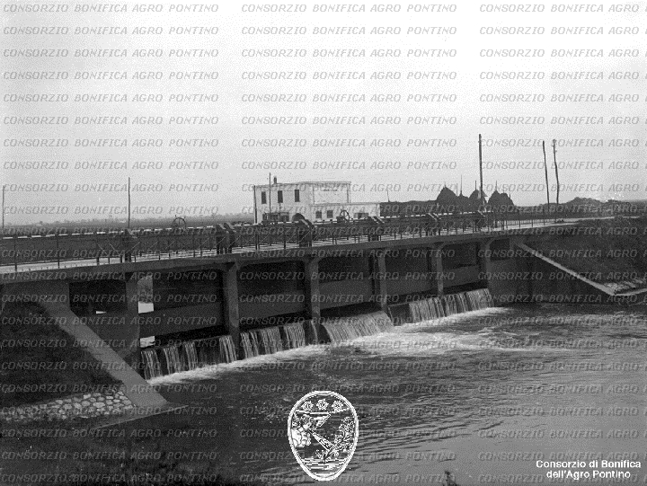 PONTINO/BOR001789.jpg