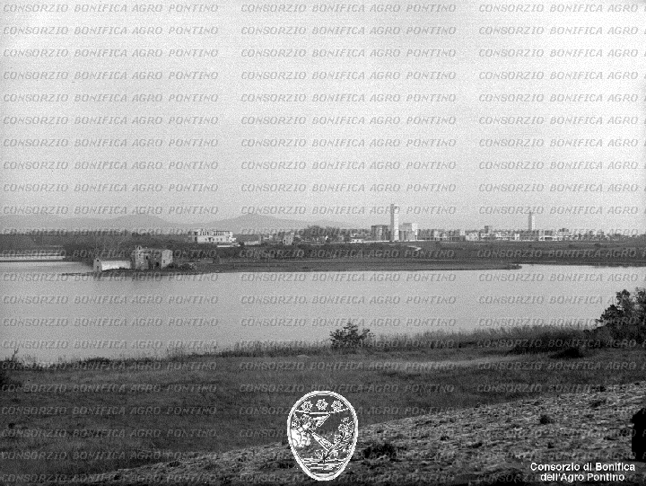 PONTINO/BOR001795.jpg