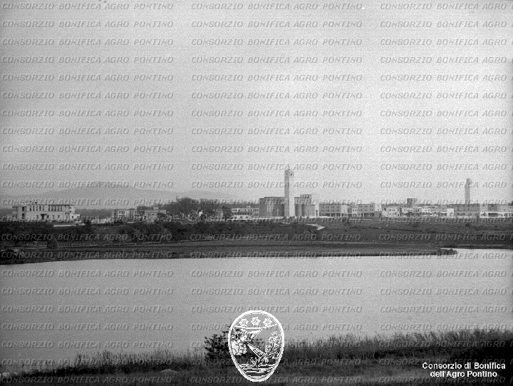 PONTINO/BOR001796.jpg