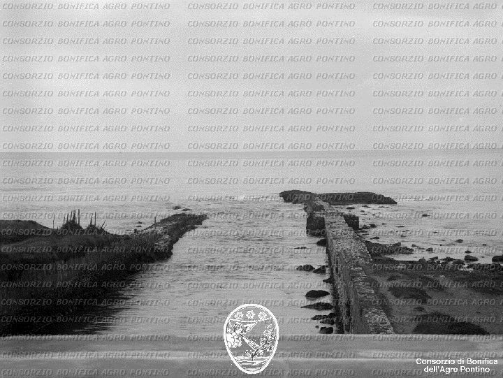 PONTINO/BOR001800.jpg