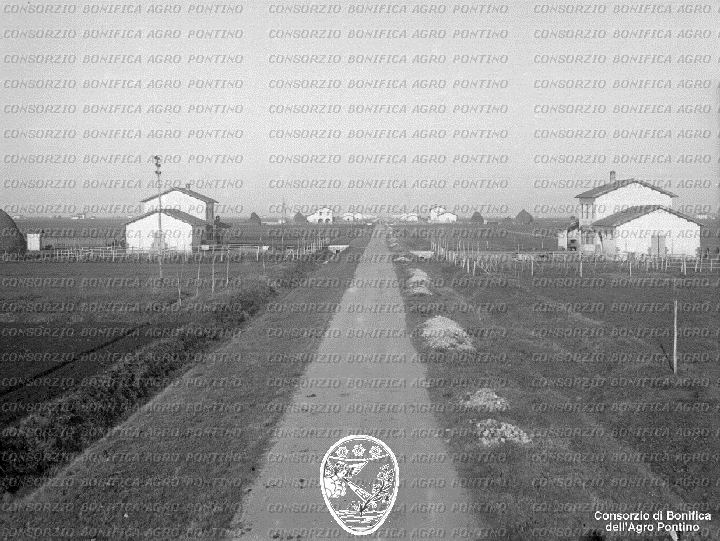 PONTINO/BOR001804.jpg