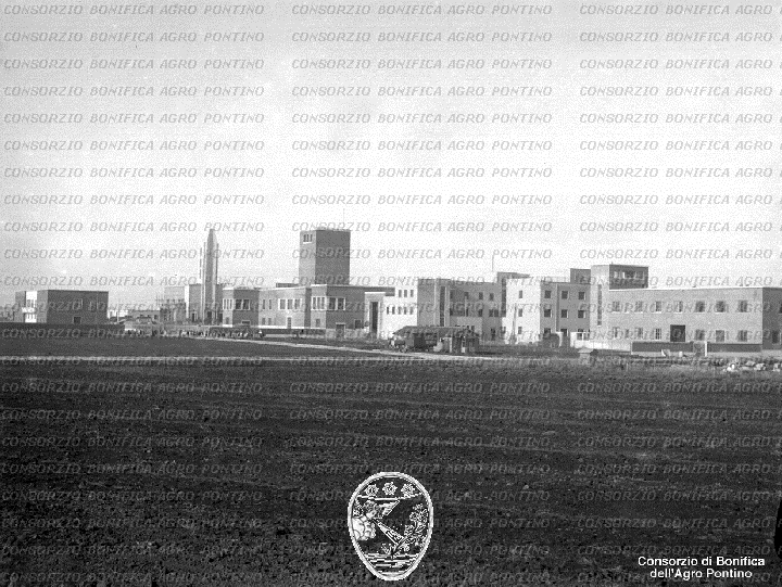 PONTINO/BOR001807.jpg