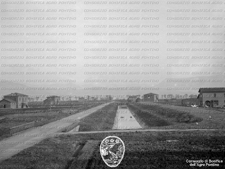 PONTINO/BOR001808.jpg