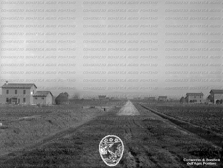PONTINO/BOR001810.jpg