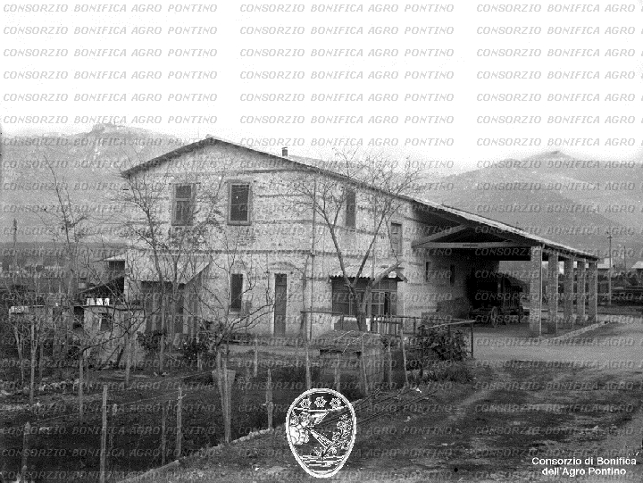 PONTINO/BOR001811.jpg